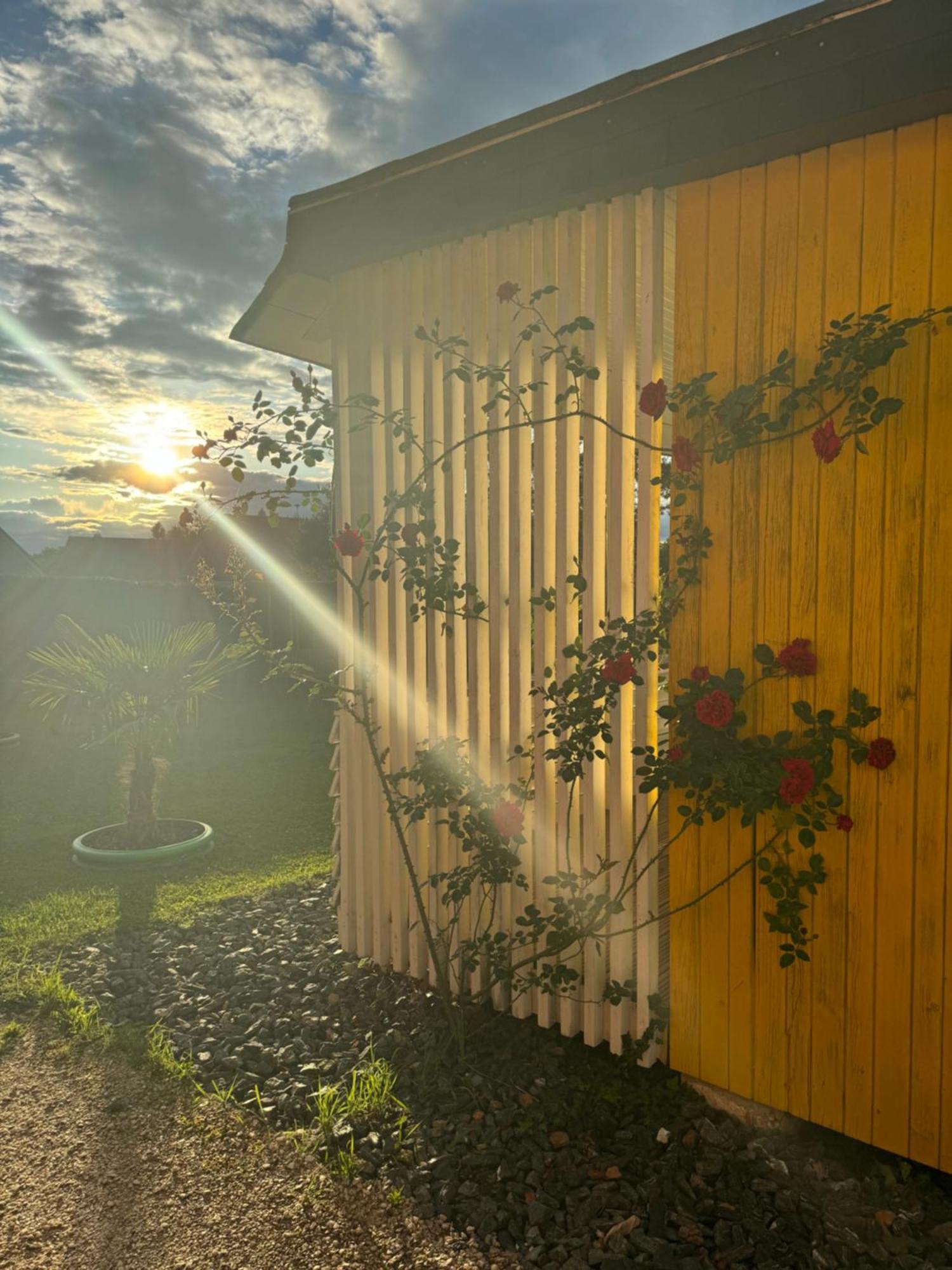 Bungalows Sonnenblume Am Klopeiner See Sankt Kanzian am Klopeiner See Buitenkant foto